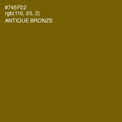 #745F02 - Antique Bronze Color Image